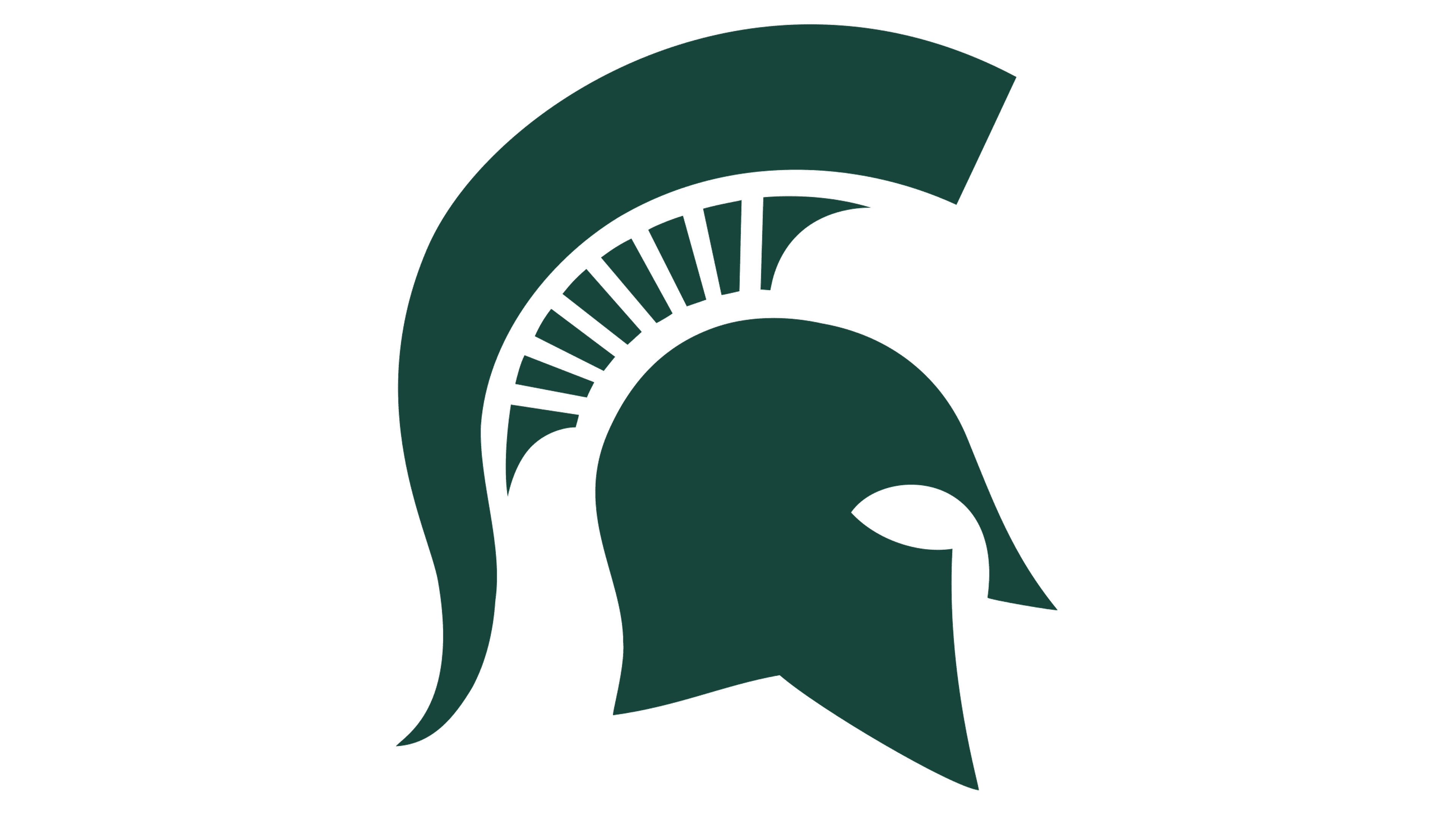 Michigan State