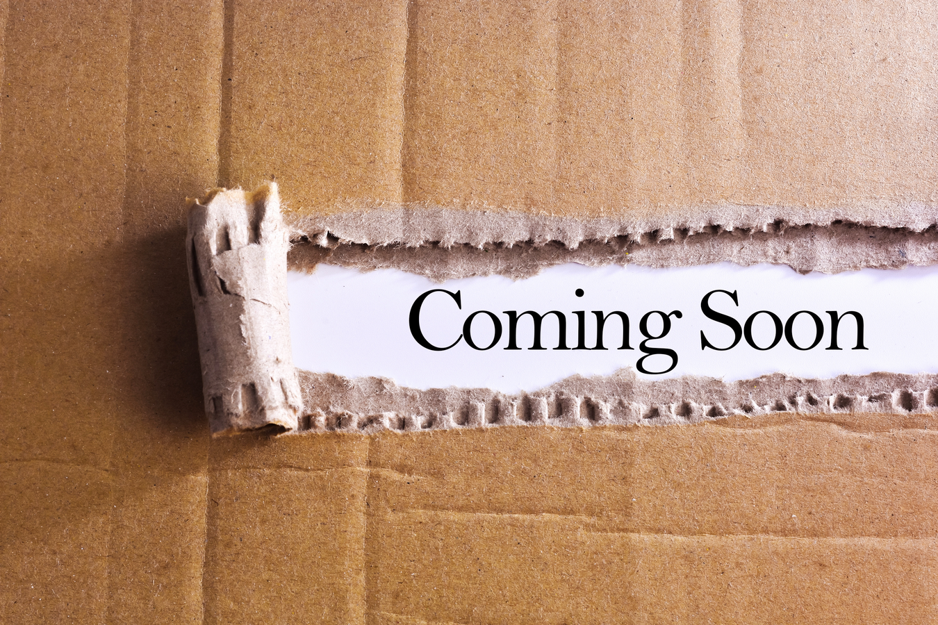 Coming Soon: Exciting New Additions!