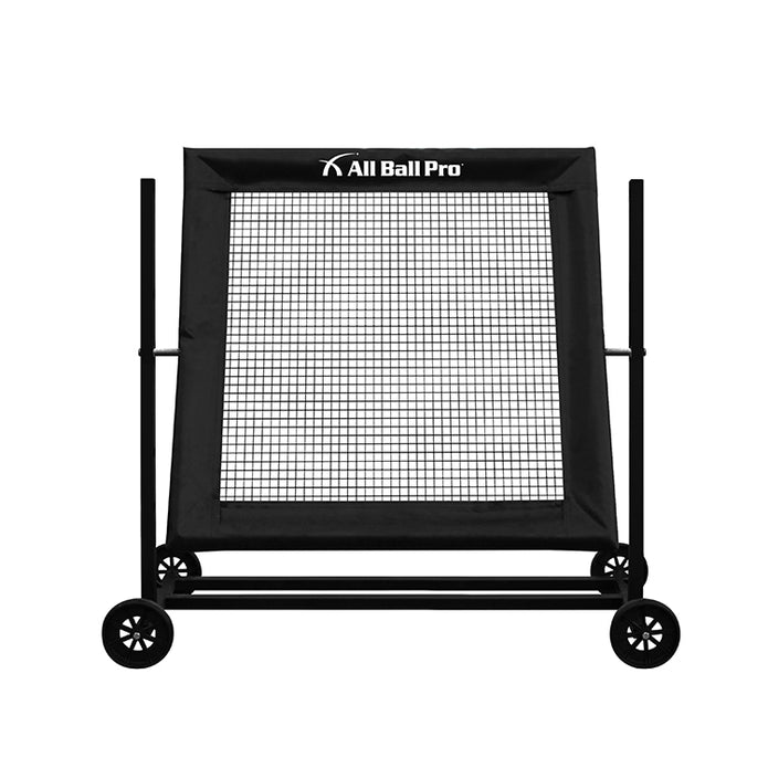 All Ball Pro Varsity Rebounder