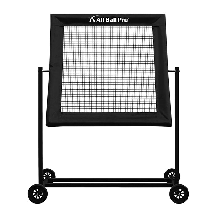 All Ball Pro Varsity Rebounder