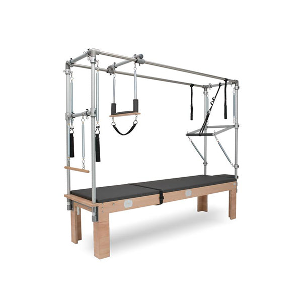 BASI Systems Trapeze Table