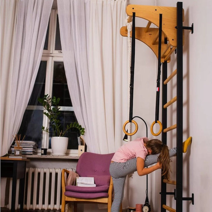 BenchK Series 2 211 + A076 Swedish Ladder for Kids With Gymnastic Accessories