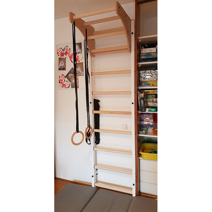 BenchK Series 7 711W+A204 Wall Bars with Gymnastics Accessories