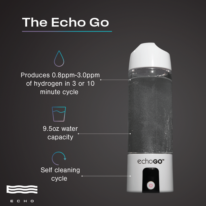 Echo Go